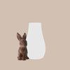 Hase